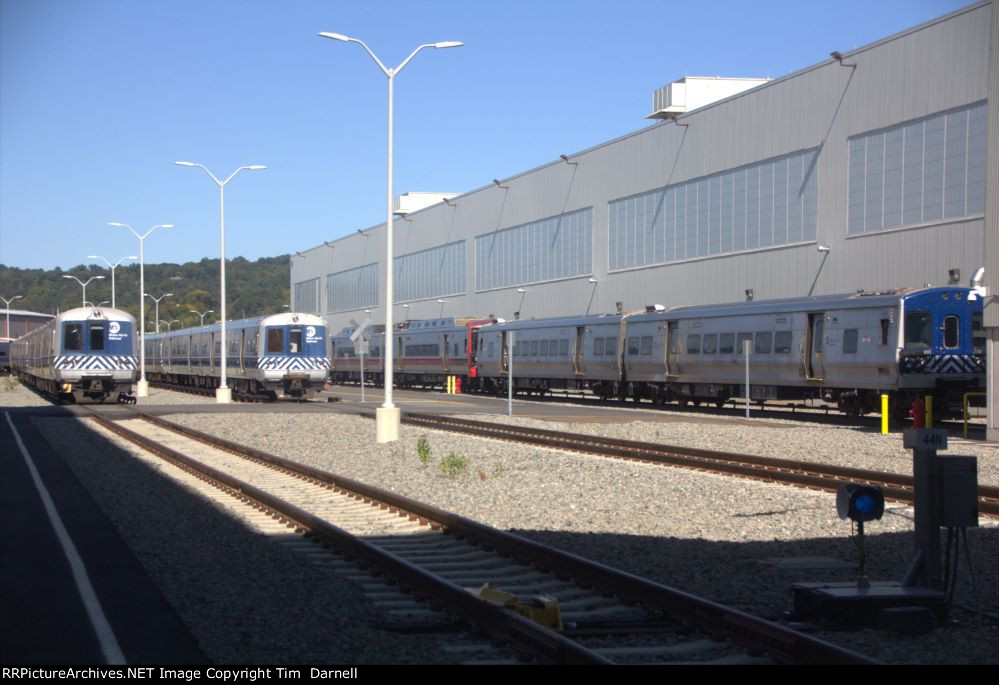 Looking out the back door at M-3s, M7 & M8s